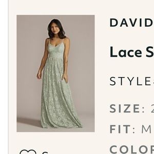 David’s Bridal Dusty Sage NWT Dress!